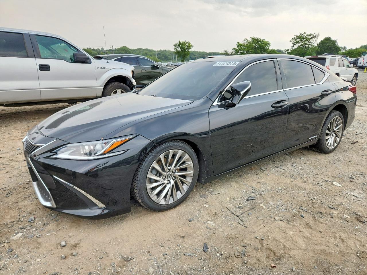 2019 LEXUS ES