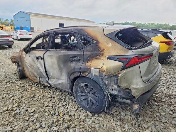 2019 LEXUS NX 300 300 Luxury