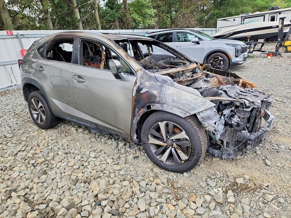 2019 LEXUS NX 300 300 Luxury