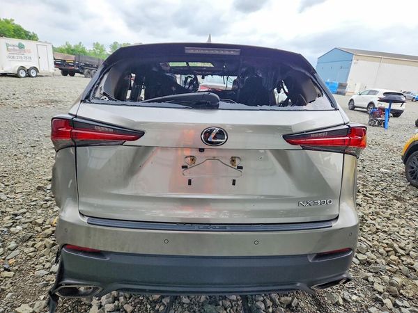 2019 LEXUS NX 300 300 Luxury