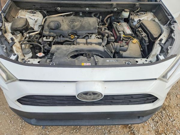 2019 TOYOTA RAV4