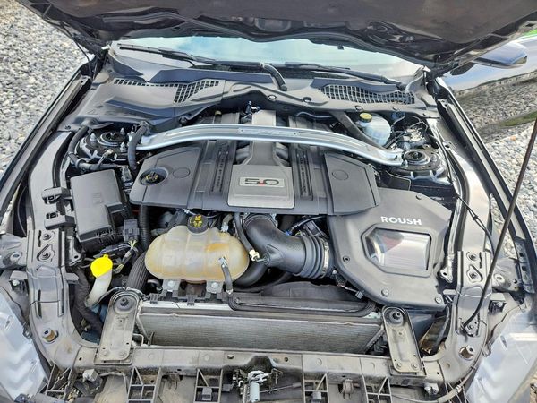 2019 FORD MUSTANG GT Coupe