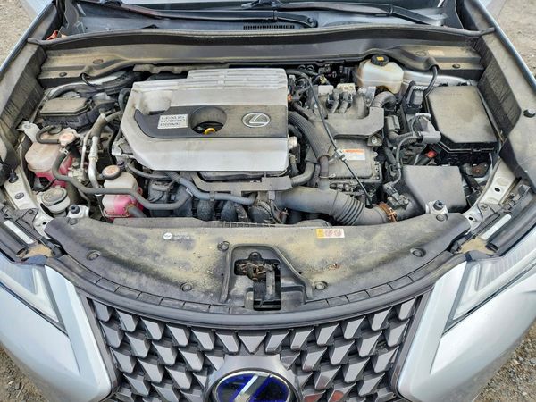 2020 LEXUS UX