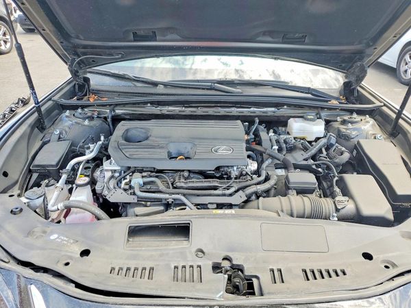 2025 LEXUS ES 300H 300h Luxury