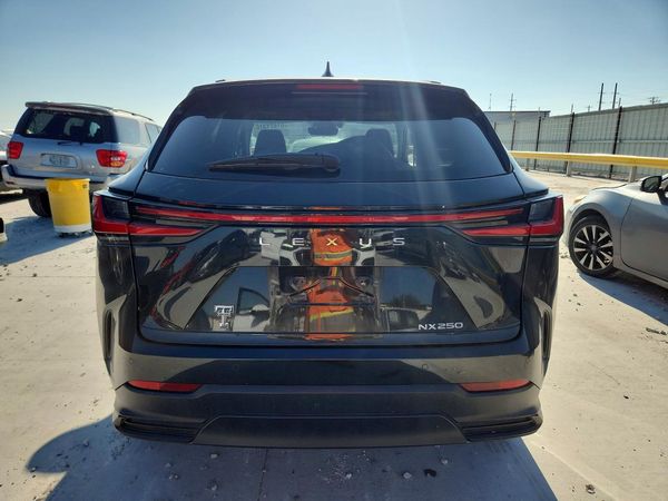 2024 LEXUS NX 350 Premium