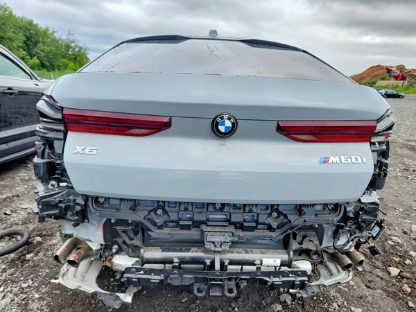2024 BMW X6