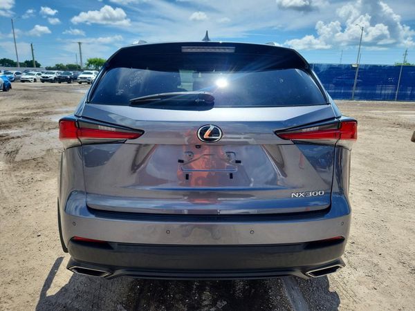 2019 LEXUS NX 300 300 Luxury