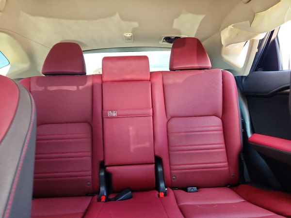 2019 LEXUS NX 300 300 Luxury