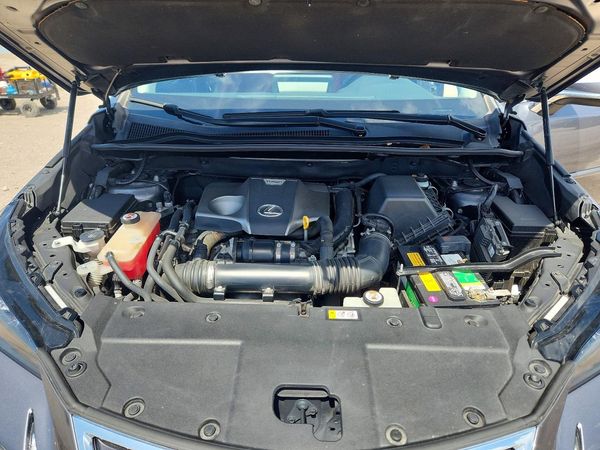 2019 LEXUS NX 300 300 Luxury