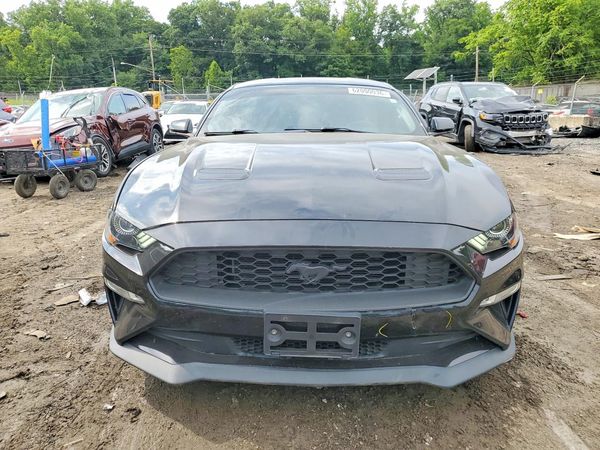 2019 FORD MUSTANG