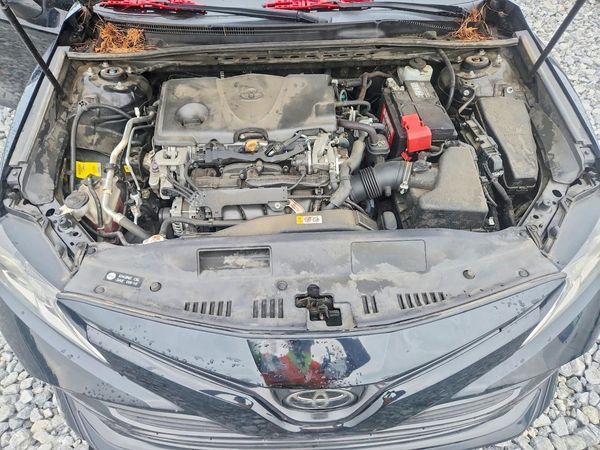 2019 TOYOTA CAMRY L/LE/SE/XLE