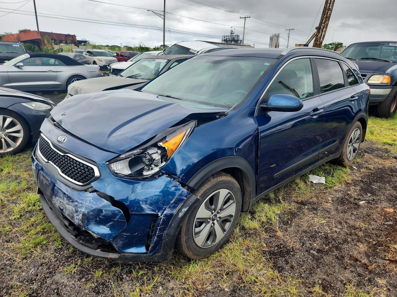 2019 KIA NIRO FE (HEV), LX (HEV)
