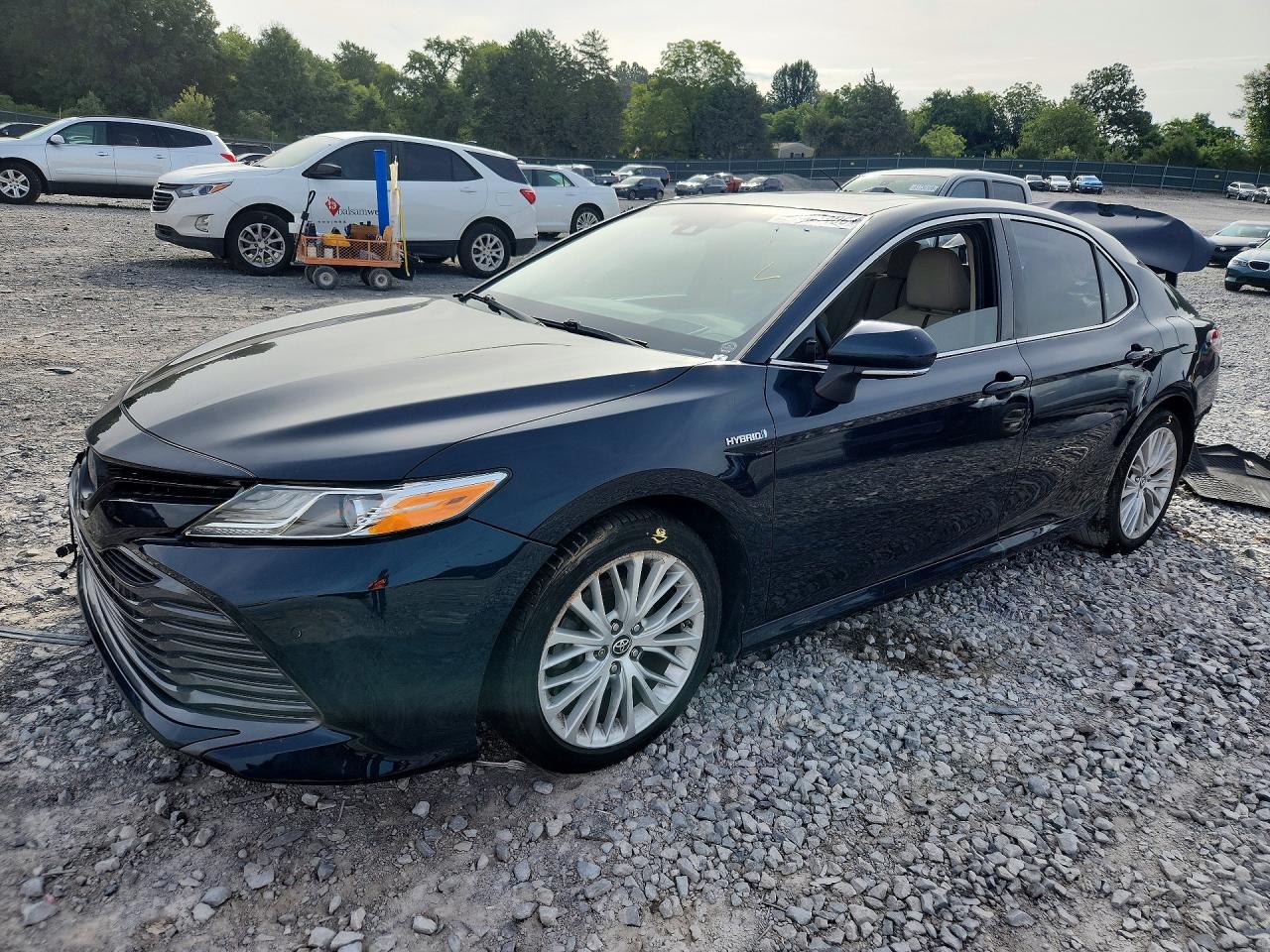 2019 TOYOTA CAMRY SOLA SE/XLE Hybrid