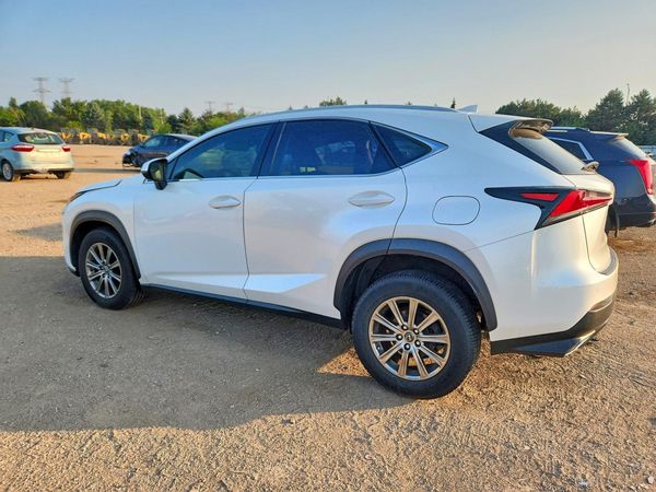 2019 LEXUS NX 300 300 Luxury