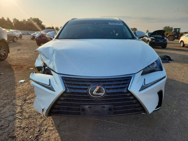 2019 LEXUS NX 300 300 Luxury