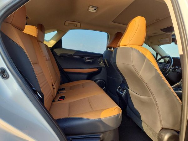 2019 LEXUS NX 300 300 Luxury