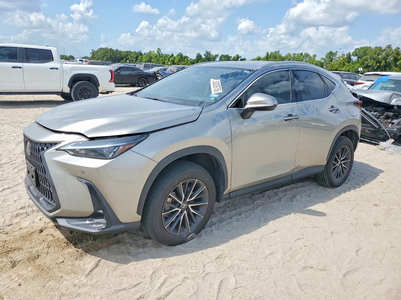2024 LEXUS NX 350 Premium