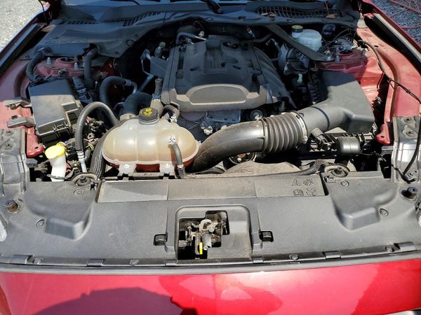 2019 FORD MUSTANG I4 Convertible