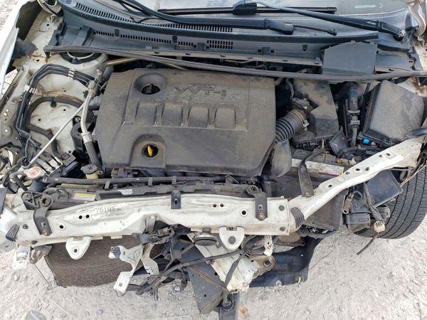 2019 TOYOTA COROLLA L/LE/SE/XLE/XSE
