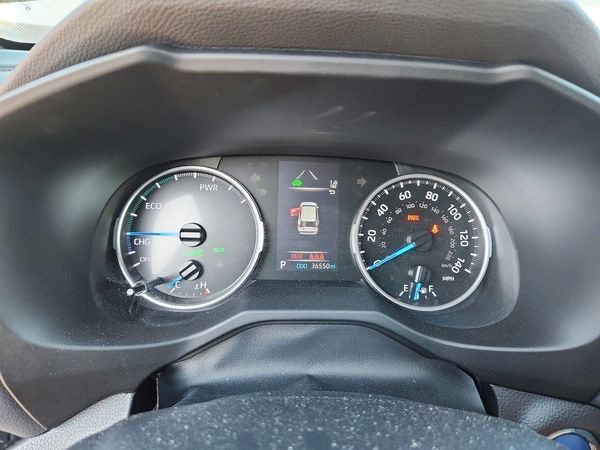 2022 TOYOTA RAV4 SE