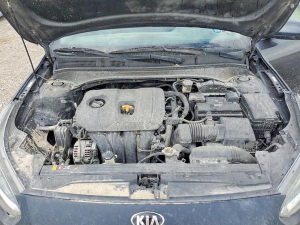 2019 KIA FORTE FE/LX/LXS