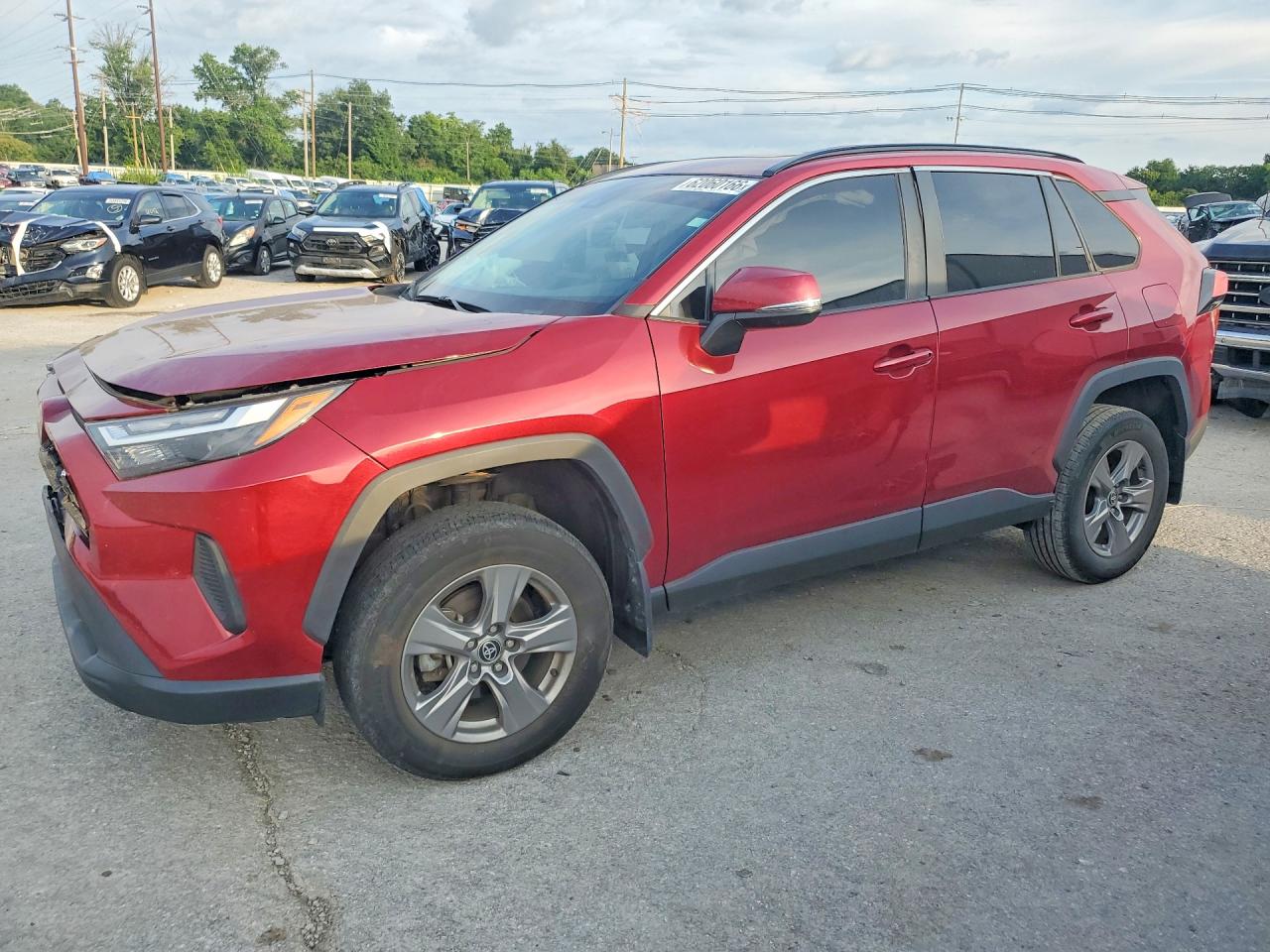 2024 TOYOTA RAV4 XLE