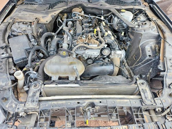 2018 FORD MUSTANG I4 Convertible