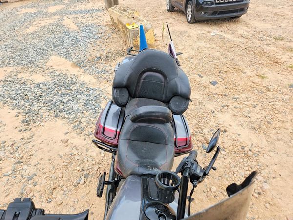 2019 HARLEY-DAVIDSON FLSE