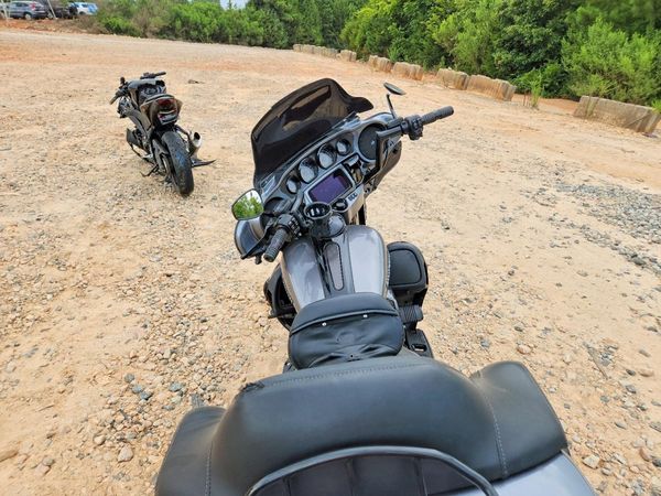 2019 HARLEY-DAVIDSON FLSE