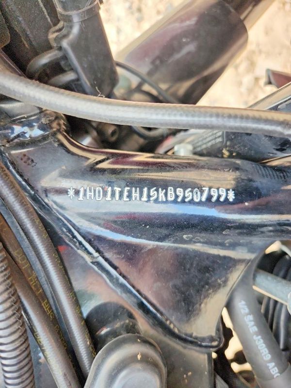 2019 HARLEY-DAVIDSON FLSE