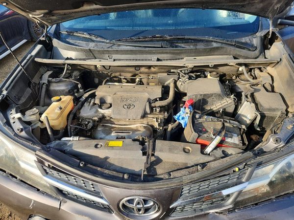2015 TOYOTA RAV4 XLE (M Grade)