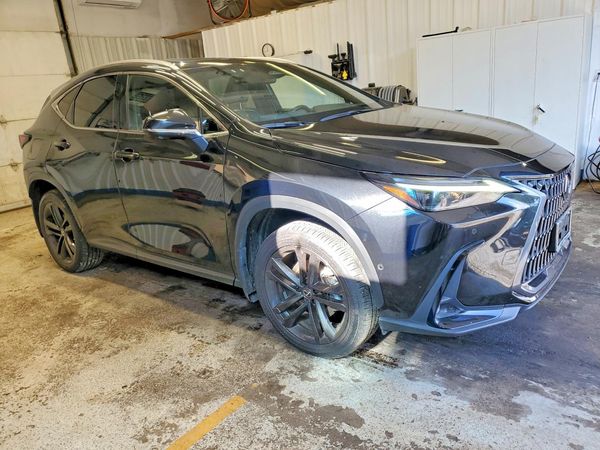 2022 LEXUS NX