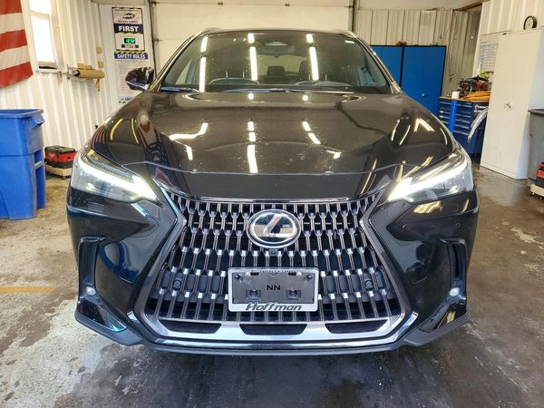 2022 LEXUS NX