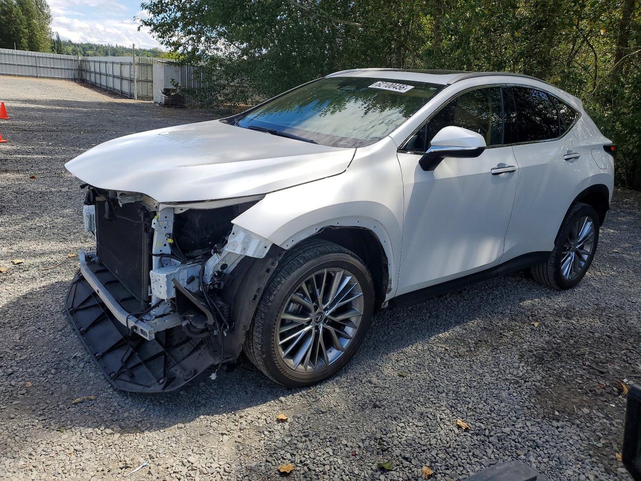 2023 LEXUS NX 350h Premium