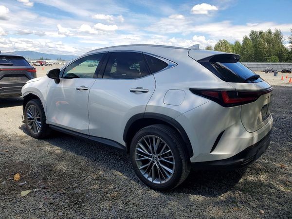 2023 LEXUS NX 350h Premium