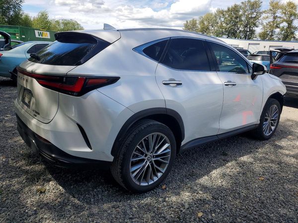 2023 LEXUS NX 350h Premium