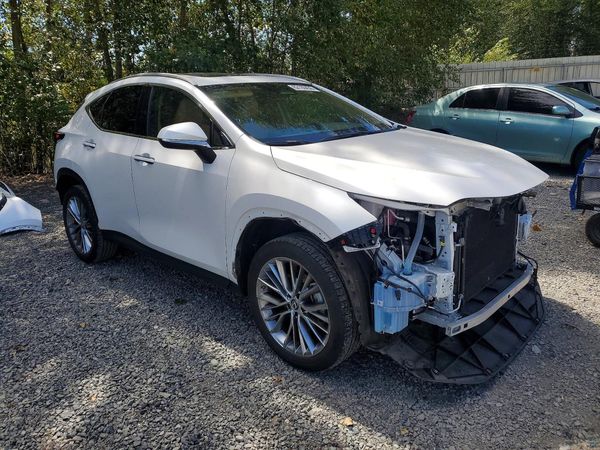 2023 LEXUS NX 350h Premium