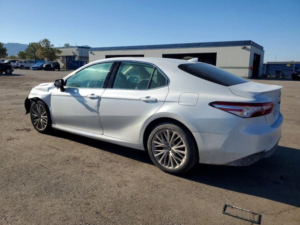 2019 TOYOTA CAMRY L/LE/SE/XLE