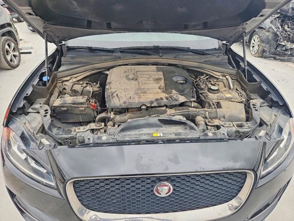 2019 JAGUAR F-PACE Premium