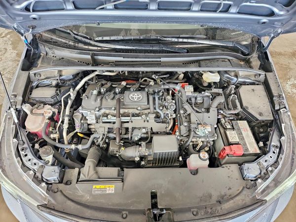 2025 TOYOTA COROLLA LE, XLE, SE