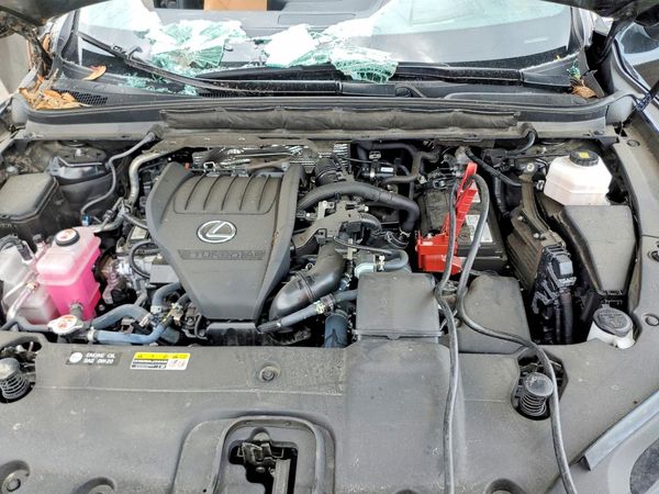2024 LEXUS RX 350
