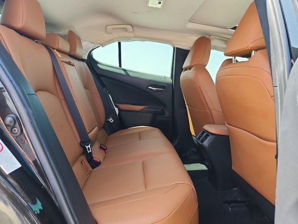 2019 LEXUS UX