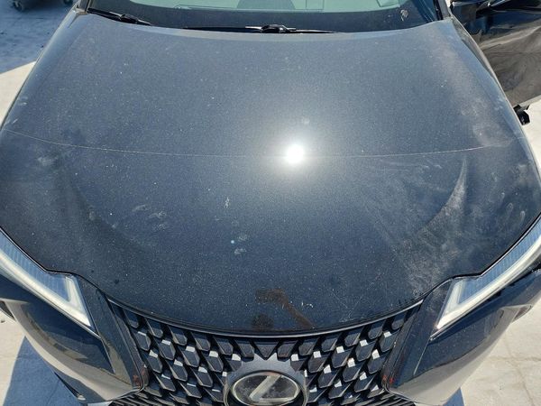 2019 LEXUS UX