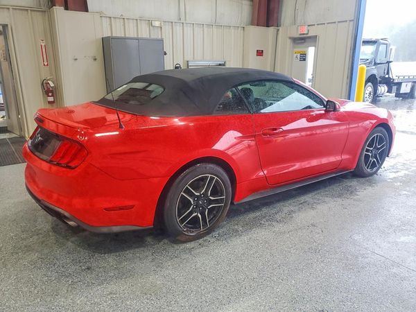 2019 FORD MUSTANG I4 Convertible