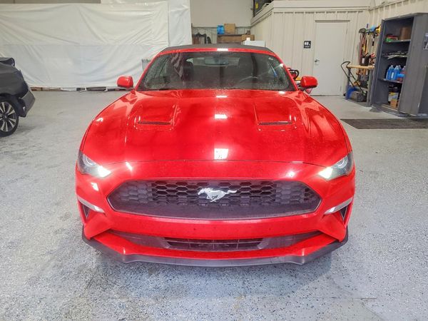 2019 FORD MUSTANG I4 Convertible
