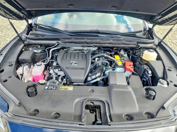 2026 LEXUS RX 350
