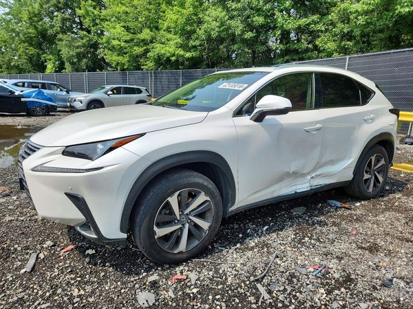 2019 LEXUS NX 300 300 Luxury