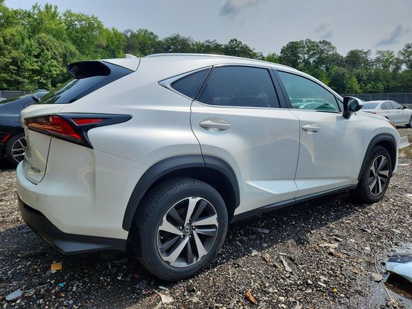 2019 LEXUS NX 300 300 Luxury