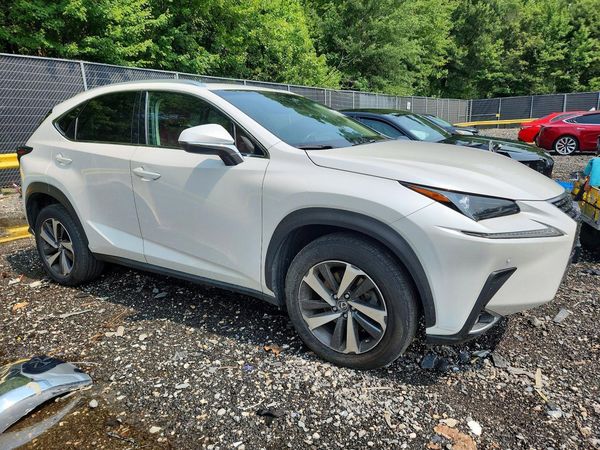 2019 LEXUS NX 300 300 Luxury