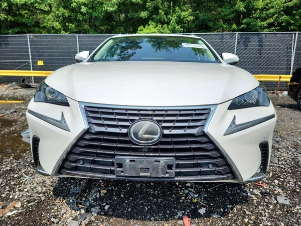 2019 LEXUS NX 300 300 Luxury